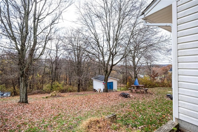 view of yard with a shed