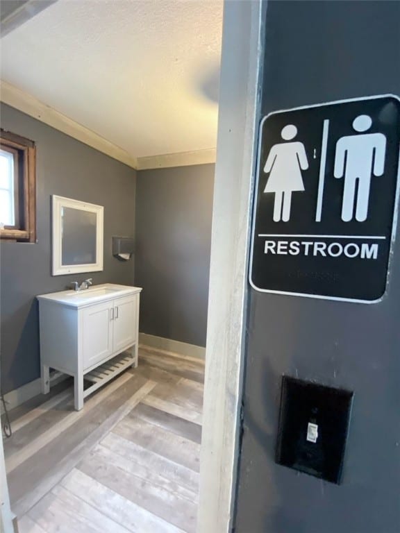 bathroom featuring vanity, wood-type flooring, and crown molding