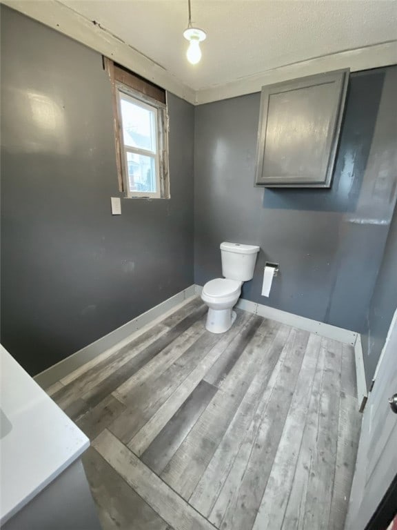 bathroom with wood-type flooring, vanity, and toilet