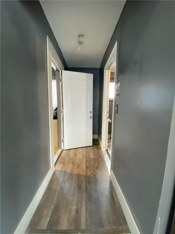 hall featuring dark wood-type flooring