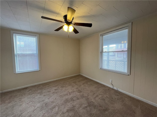 unfurnished room with ceiling fan, crown molding, and carpet floors