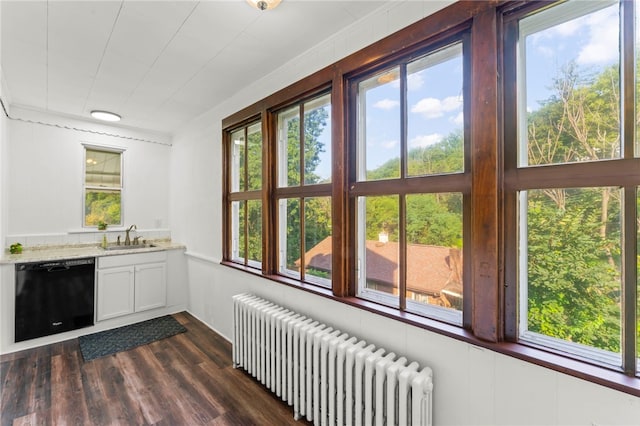 interior space with a wealth of natural light, radiator, white cabinetry, and dishwasher