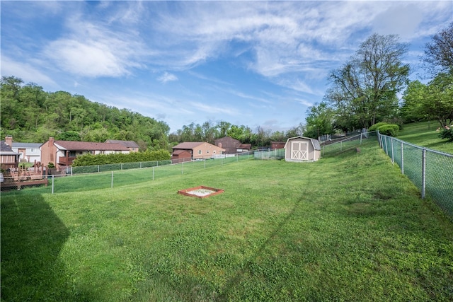 view of yard featuring a storage unit