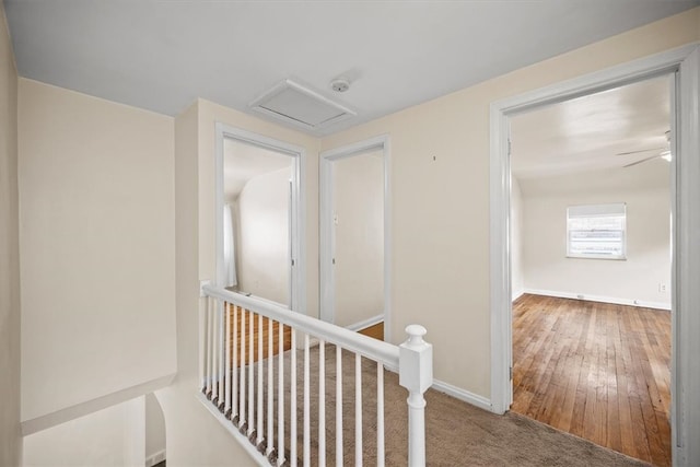 hallway with hardwood / wood-style flooring