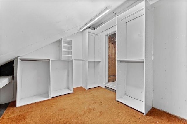 spacious closet featuring carpet floors and vaulted ceiling