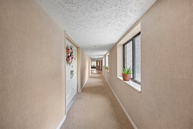 hall featuring a textured ceiling, light carpet, and a healthy amount of sunlight