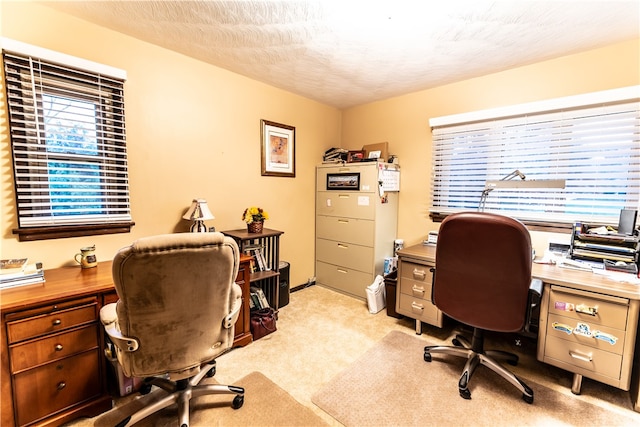 office space featuring a textured ceiling and light colored carpet