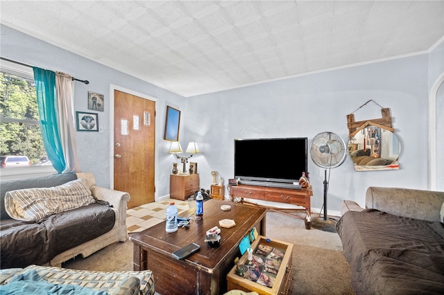 living room featuring crown molding and carpet floors