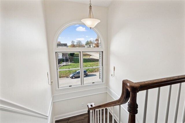 stairway with hardwood / wood-style floors and plenty of natural light