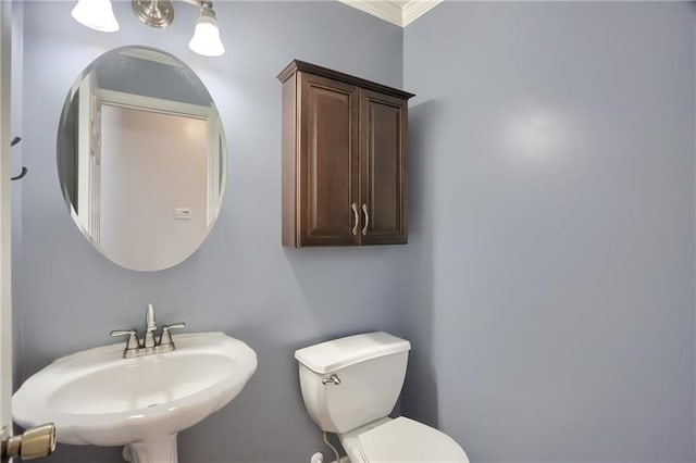 bathroom with toilet, sink, and crown molding