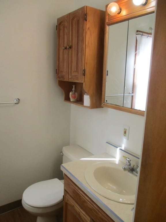 bathroom with toilet and vanity