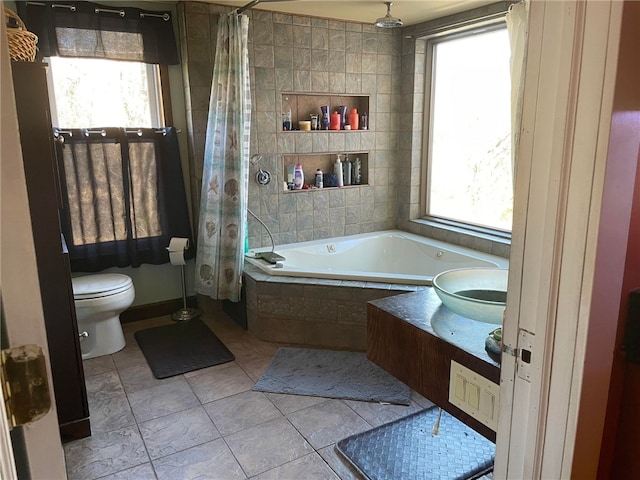 bathroom with toilet and plenty of natural light