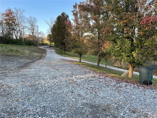 4199 Morgantown Rd, Springhill Twp, PA 15478 - view of dirt / gravel road