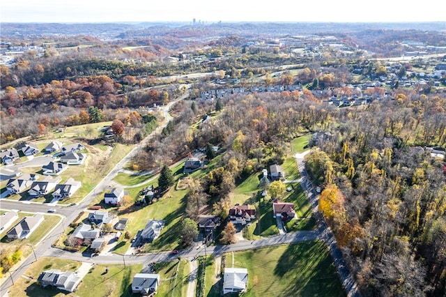 bird's eye view