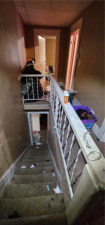 stairway featuring carpet floors