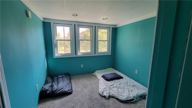 2601 Mount Royal Blvd, Shaler, PA 15116 - view of carpeted bedroom