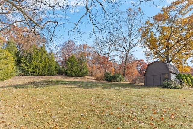 view of yard with a shed