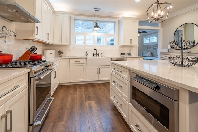 17 Carolina Ave, Oakmont, PA 15139 - kitchen with stainless steel appliances, exhaust hood, crown molding, white cabinetry, and dark wood-style flooring