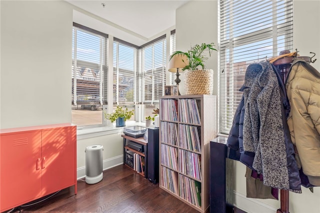 interior space with dark hardwood / wood-style floors and plenty of natural light