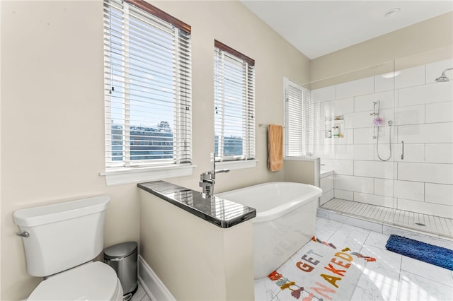 bathroom with toilet and separate shower and tub