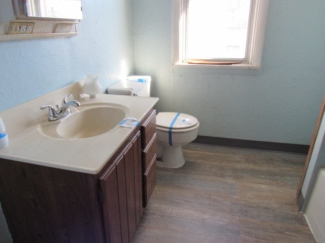 bathroom with toilet, vanity, and wood-type flooring