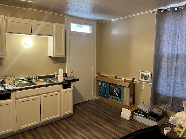 kitchen with white cabinetry, ornamental molding, sink, and dark wood-type flooring