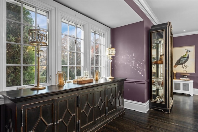 bar with dark brown cabinets, a healthy amount of sunlight, dark hardwood / wood-style flooring, and ornamental molding