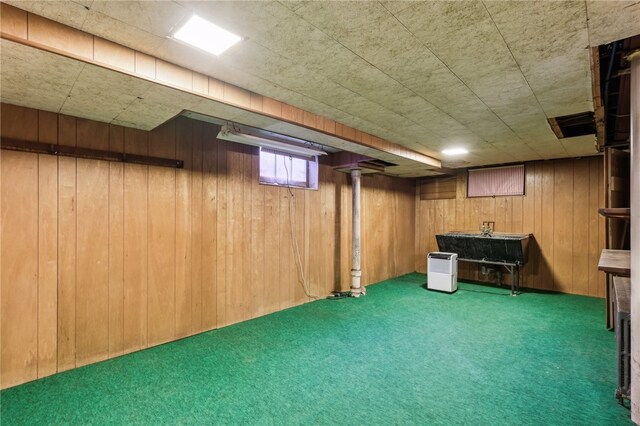 basement featuring carpet, wood walls, and sink