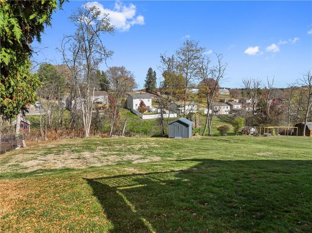 view of yard with a storage shed