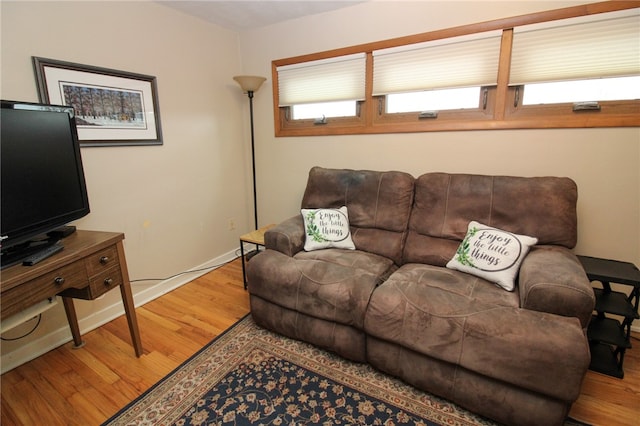 living room featuring wood-type flooring