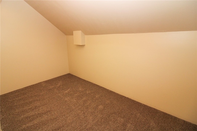 bonus room featuring vaulted ceiling and carpet floors