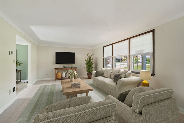 living room featuring light colored carpet