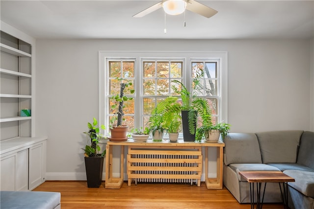 sitting room with light hardwood / wood-style flooring, radiator heating unit, and a healthy amount of sunlight