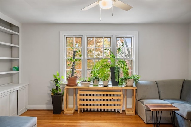 420 Sulgrave Rd, Mt Washington, PA 15211 - living area with radiator, plenty of natural light, light wood finished floors, and ceiling fan