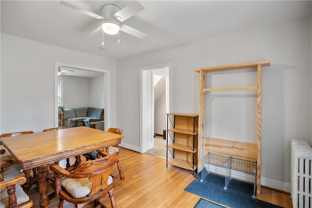 dining space with radiator, light wood-type flooring, and ceiling fan