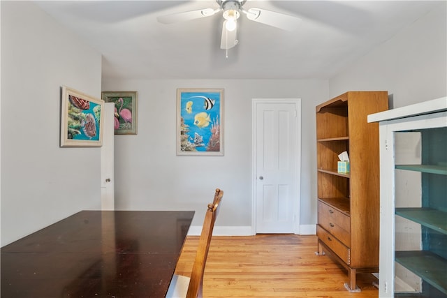 dining area with ceiling fan and light wood-type flooring