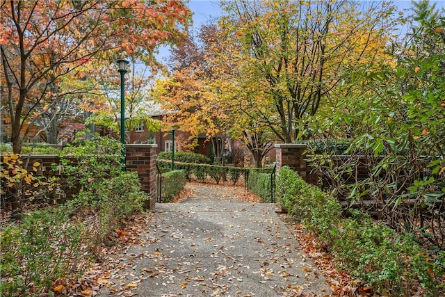 420 Sulgrave Rd, Mt Washington, PA 15211 - view of yard with fence and a gate
