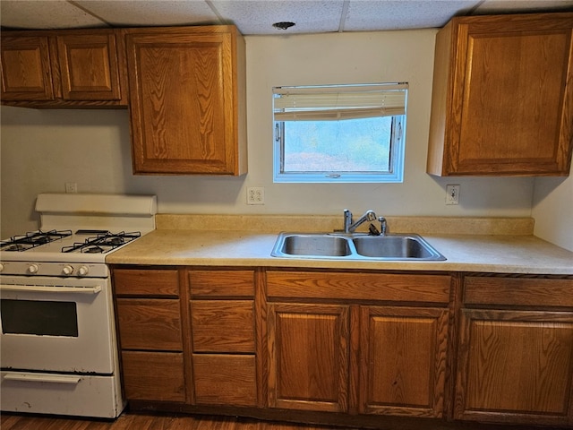 kitchen featuring dark hardwood / wood-style flooring, a paneled ceiling, sink, and white gas stove