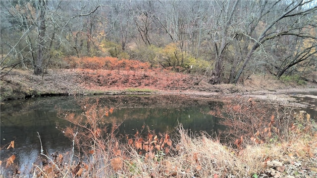 view of water feature