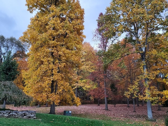 view of community featuring a lawn