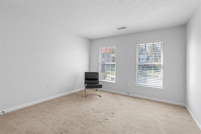 unfurnished room featuring light colored carpet and a textured ceiling