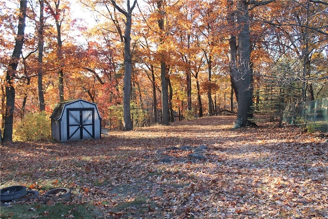 view of yard featuring a shed