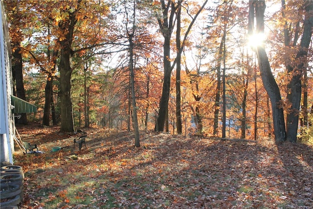 view of nature