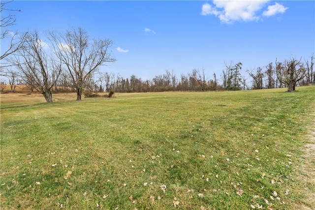 view of yard featuring a rural view