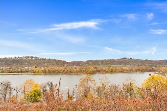 6824 Butler St, Morningside, PA 15206 - water view