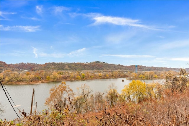 6824 Butler St, Morningside, PA 15206 - water view