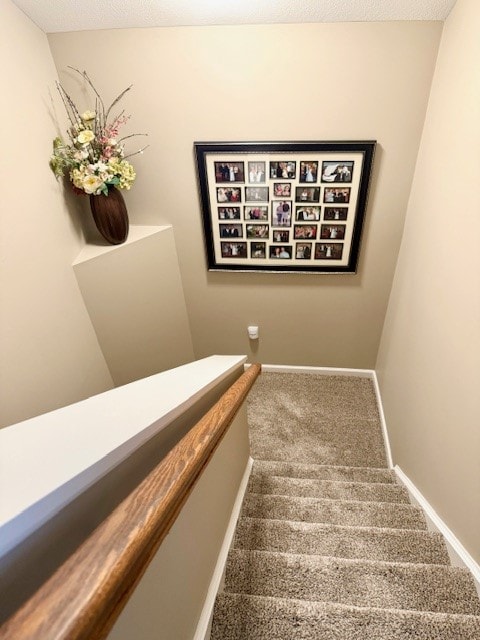 staircase featuring carpet