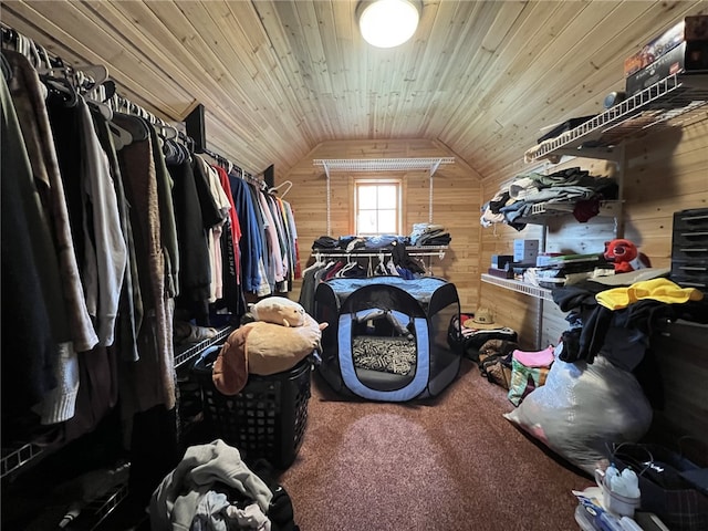 spacious closet featuring carpet flooring and lofted ceiling