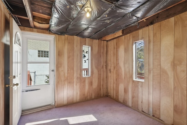 empty room featuring wood walls and light carpet