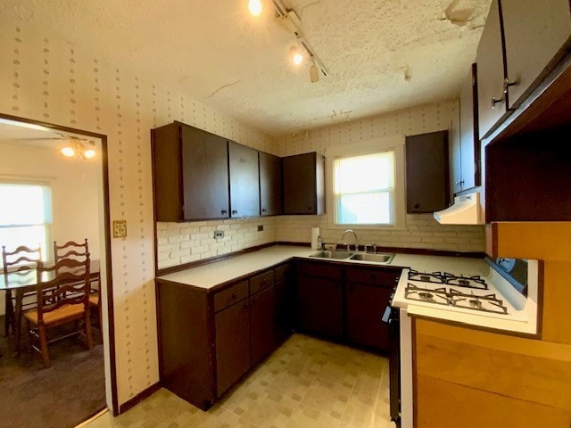 kitchen featuring dark brown cabinetry, sink, track lighting, extractor fan, and a textured ceiling